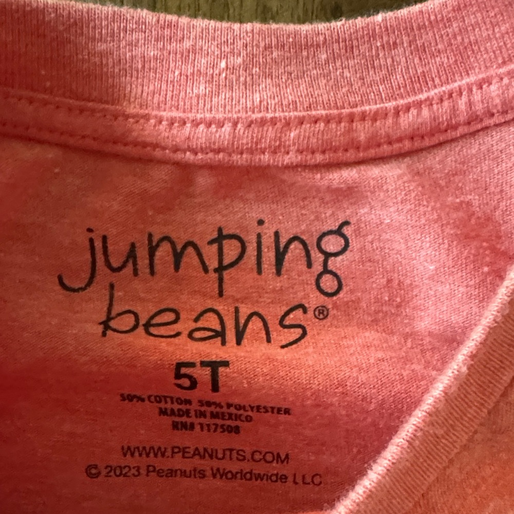 Gray Peanuts Trick or Treat Sweatshirt - Picture 5 of 5